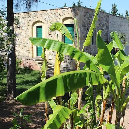 Villeriunite - Papiro * Gallipoli