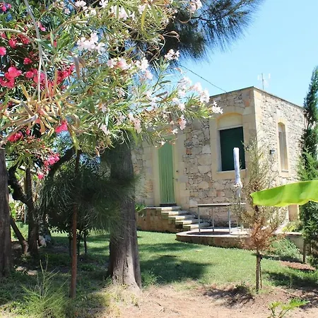 Villeriunite - Papiro